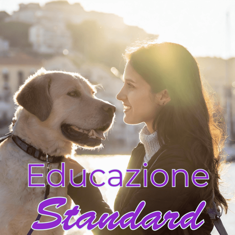 educazione standard Ormazen