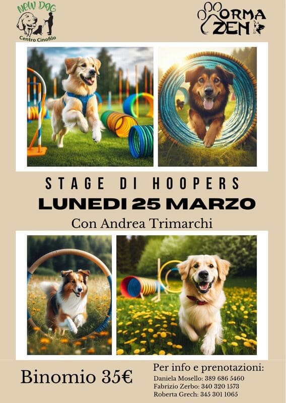 Locandina hopper 25 aprile